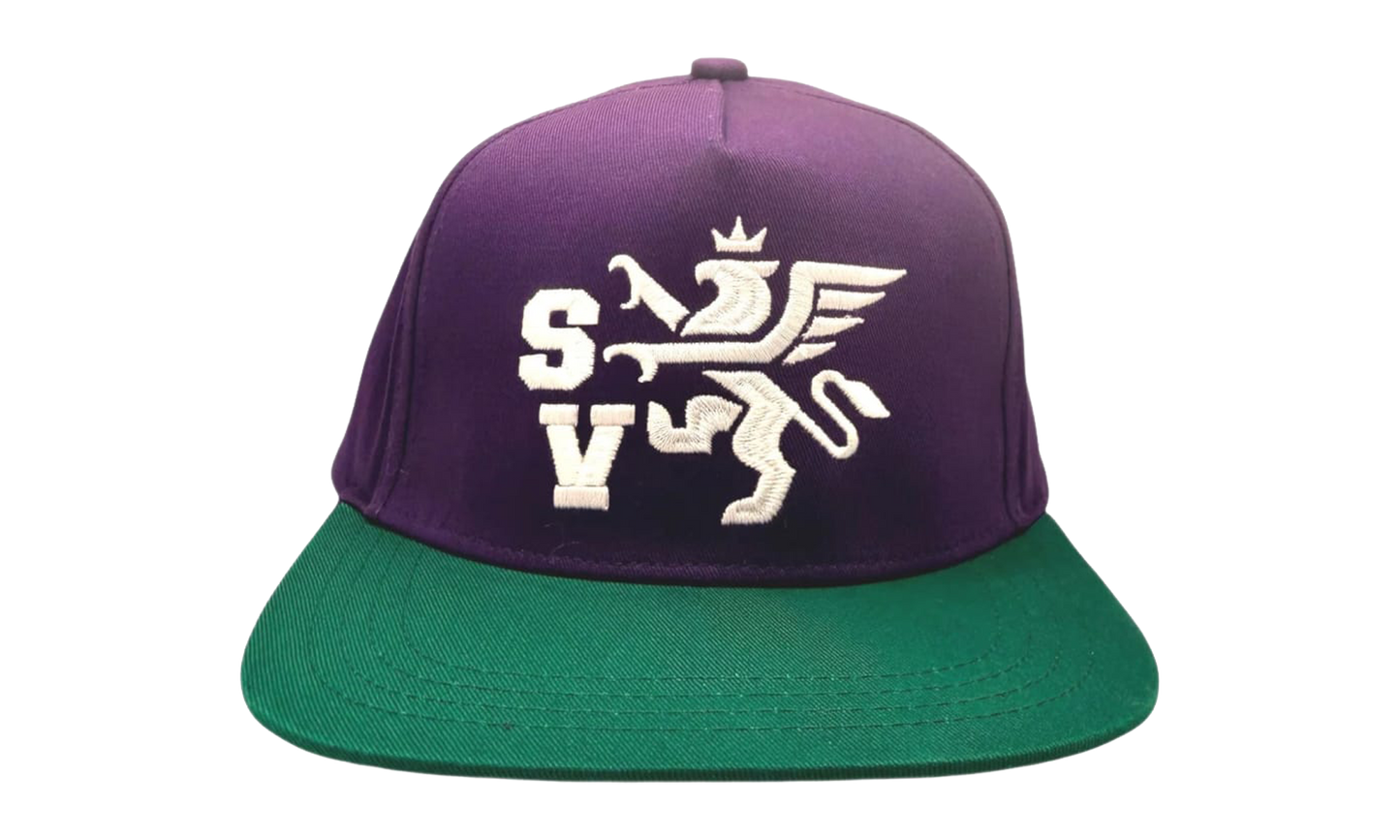 Griffin Snapback Hat "Plum/Green" SV039