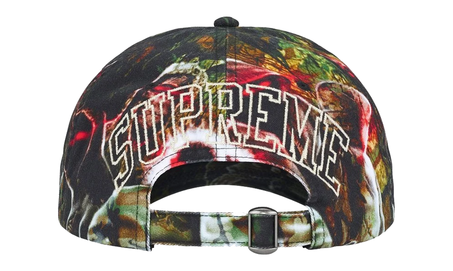 Shadows 6-Panel "SS26 - Multicolor" SU27781