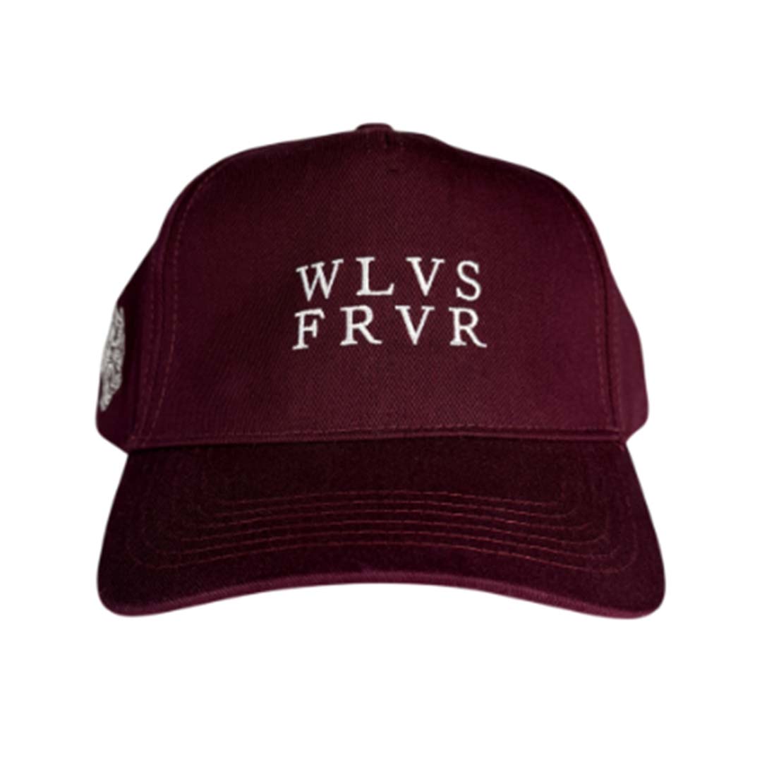 Darcsport FRVR 5 Panel Hat Gemstone