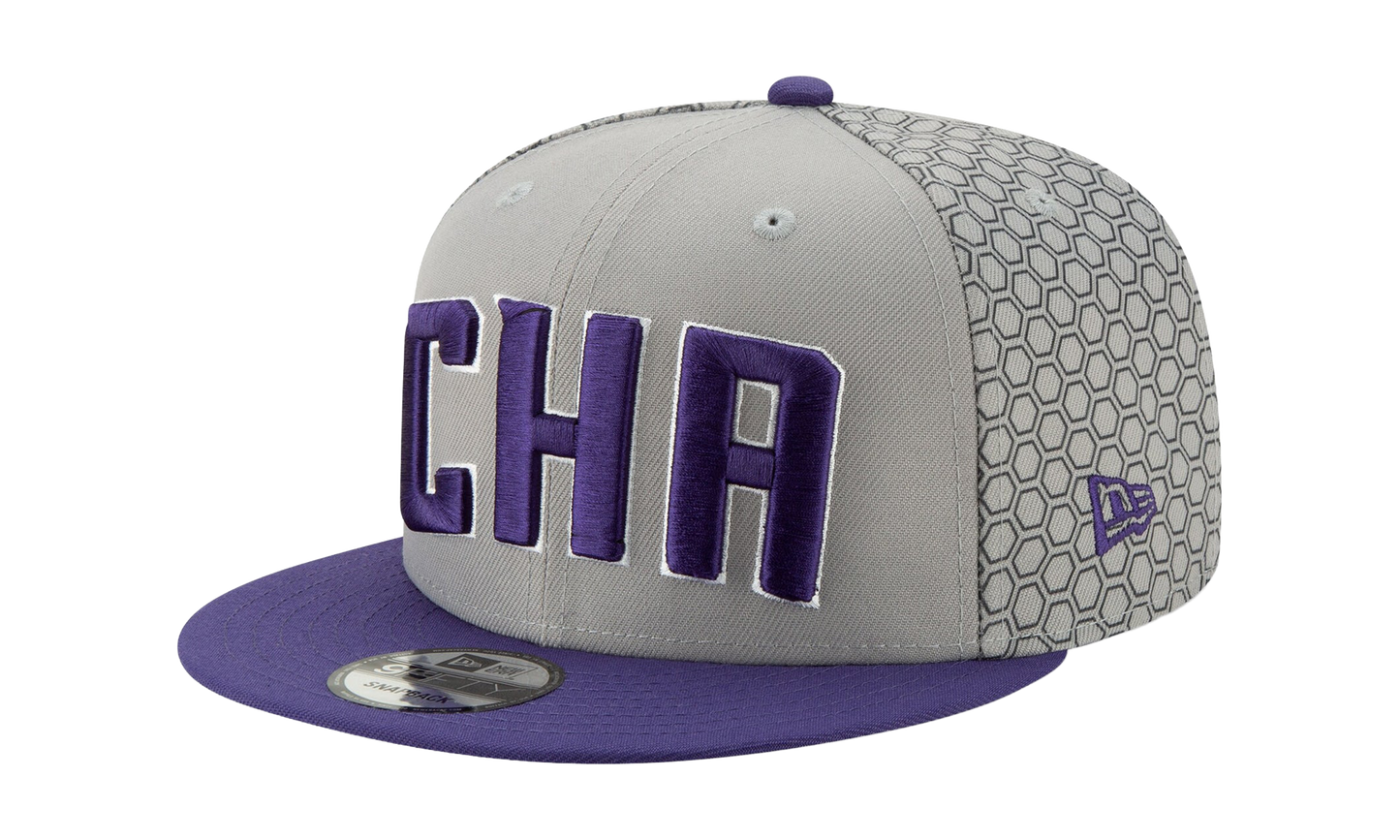 9FIFTY Charlotte Hornets City Series Snapback Hat "Grey / Purple - Brim" NE566