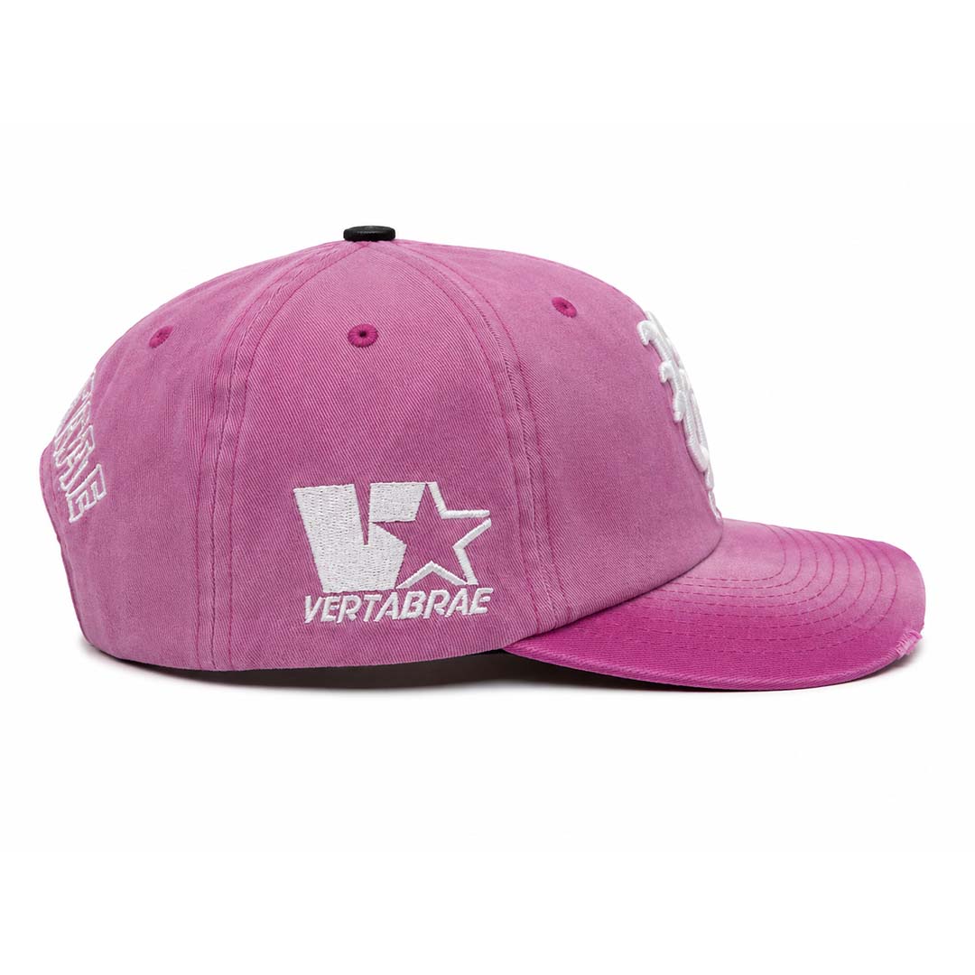 Vertabrae Faded Pink White Snapback Hat